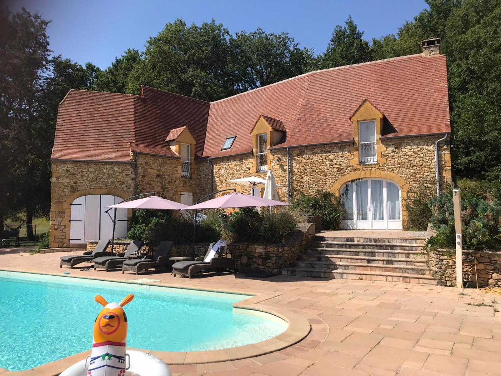 Luxury Chateau w. pool&hot tub in Dordogne Beynac-et-Cazenac Buitenkant foto